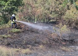 Flaechenbrand Bei Jena 020718 0002